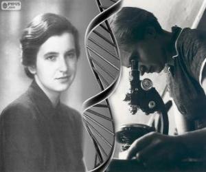 yapboz Rosalind Franklin (1920-1958), pioneer DNA Araştırmaları